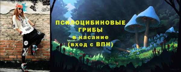 ПСИЛОЦИБИНОВЫЕ ГРИБЫ Алексин