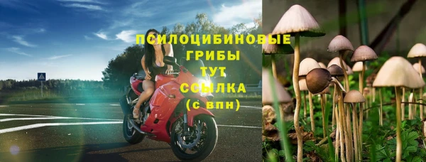 дживик Алзамай